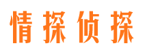 虹口市调查公司